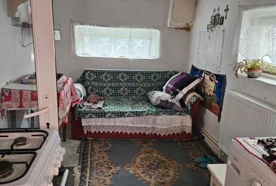CASA cu utilitati - BRATIANU - 8