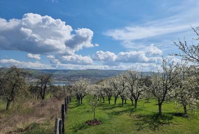 Pamant vanzare | Lac Zigoneni | Valea Lui Enache | Priveliște superba - 16