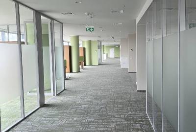 Platinum Business & Convention Center, Baneasa, 493 - 5272 mp  0% comision! - 5