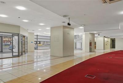 Inchiriere spatiu comercial Pantelimon - Piata Delfinului, Bucuresti - 15