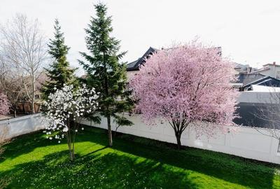 Sanctuar Urban în Inima Piperei: Eleganță Contemporană pe 1.000 mp de Intimitate - 10