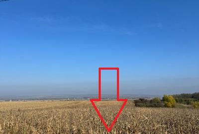 Teren 6.668 mp, de vanzare, loc. BOGDAN VODA, la E-85, com. Saucesti, jud. Bacau - 5