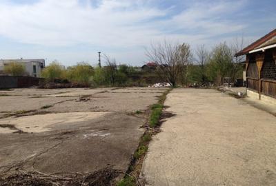 Vanzare teren Snagov Vladiceasca - 6