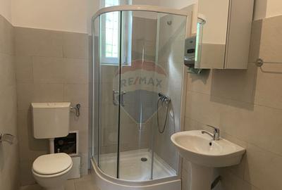 Apartament 2 camere de inchiriat in zona Nicolae Titulescu - 4