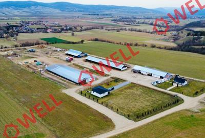 Ferma complet echipată de 22 de hectare de vânzare în Zoltan! - 4