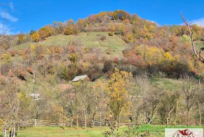 Casa de vanzare in Trampoiele (Zlatna) - 10