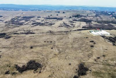 Teren agricol extravilan de vânzare – 67.500 mp – Dealul Daii, Sibiu - 8