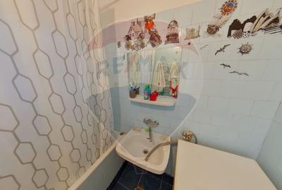 Casă cu 4 camere, Str. Bradului/ Sighetu Marmației - 11
