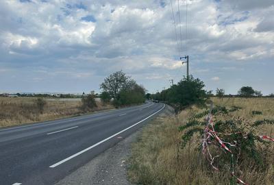 (308) Teren in zona industriala Albota, langa Pitesti