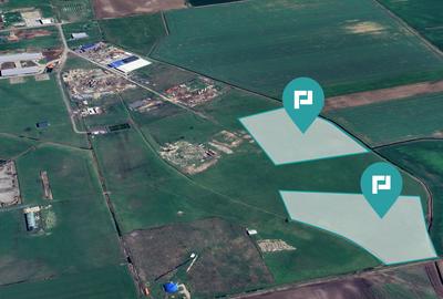 Teren intravilan de 26,606mp Sacalaz - 3