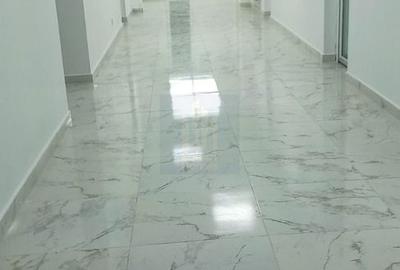 Spatii de birouri de inchiriat | stradal *Cismigiu* - 7