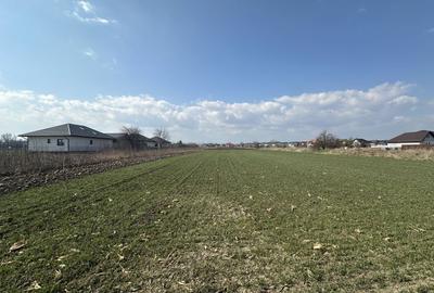 Teren intravilan 20 ari | Rădăuți | Front stradal 19.49 m - 1