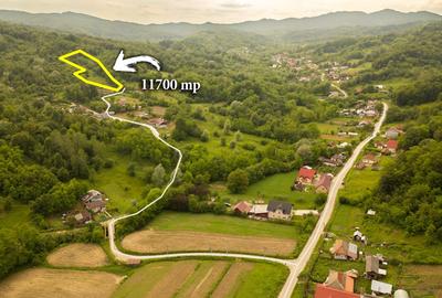 Teren de 11700 mp în mijlocul naturii la 2 ore de București - 2