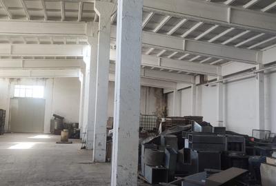 Hala renovata Orasul  Alexandria - 2