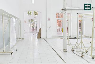 Spațiu comercial / industrial - 9 camere - Zona Elisabetin - Timișoara - 12