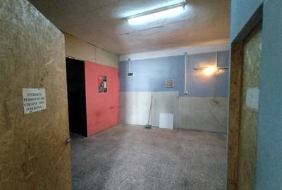 Oravita, Casa cu Spatiu Comercial, 784mp, ZERO COMISION - 14