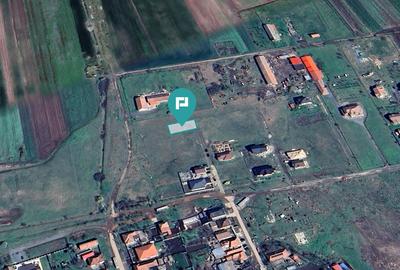 Loc de casa de 512mp în Livada - 4