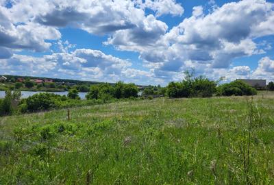 LA 20 DE MINUTE DE BUCURESTI LA TANCABESTI TEREN  LAC - 4