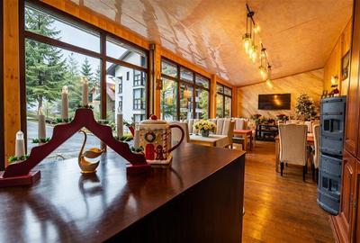 FILM!Descopera oportunitatea! Imobiliar&Transfer Business in inima statiunii Poi - 4