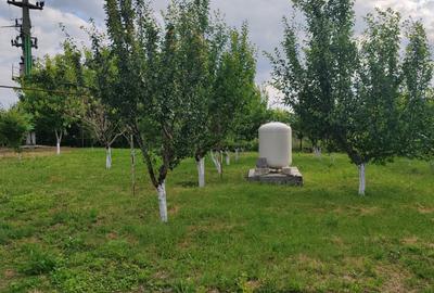 Casa parter si teren in zona Cretesti, Vaslui - 4