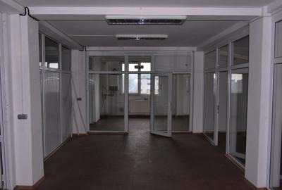 Spatiu comercial 5,4 €/mp, 740mp, Craiovei - Pitesti - 11