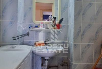 Apartament cu 3 camere de vanzare, vedere pamoramica, Dacia, Timisoara - 9