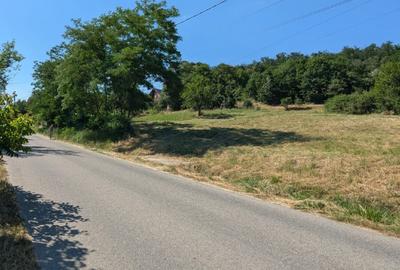 Tutana-Curtea de Arges, 10min. de A1, 1385mp., desc.50m, asfalt, electricitate - 1