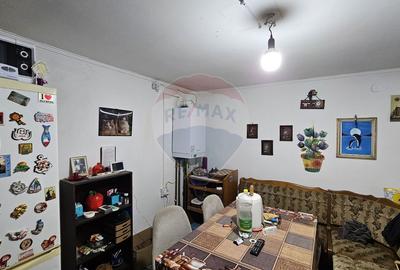 Casă / Vilă  de vânzare în Campulung Moldovenesc, Suceava - 17