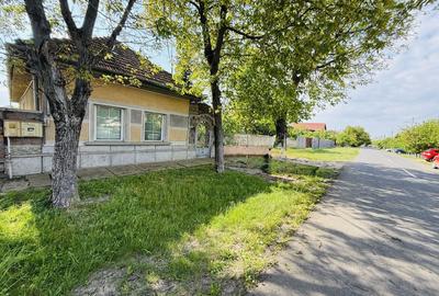 Ciarda Roșie / Buziașului | Front 27 ml | Teren 1464 mp | Utilități - 2