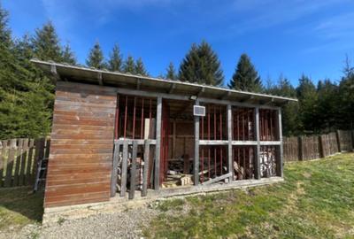 REFUGIU DIN INIMA NATURII,CASA  DE VANZARE ,144mp COMANDAU/ COVASNA - 11