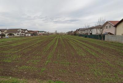 Teren Extravilan Padurea Craiului la intrarea in Com. Berceni | 3200mp - 1