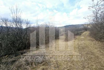Teren intravilan | De vanzare | 12211 mp | Geogiu de Sus - 6