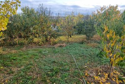 Teren intravilan imprejmuit la intrare in Curtesti - 2