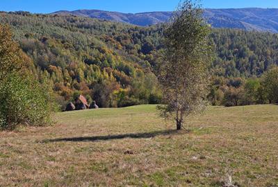 Teren extravilan in localitatea Bulz - 3