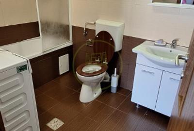 Apartament e camere in Bună Ziua - 12
