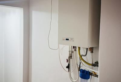 Apartament la casa cu curte proprie, parcare, Parcul Circului - 11