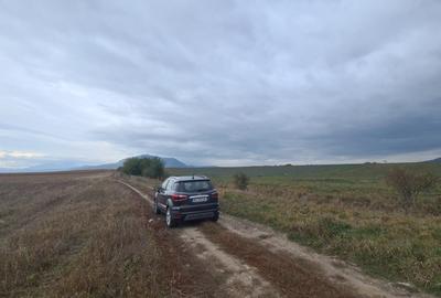 Oază de Natură și Potențial: Teren de 48.100 mp lângă Delta din Carpați - 10
