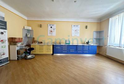 Doua cladiri individuale de vanzare si teren, 5 minute de Centrul Civc, Oradea - 5