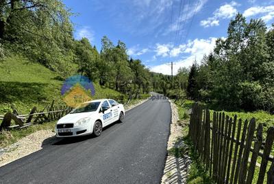 Teren 11557 mp comuna Ceahlau - 14