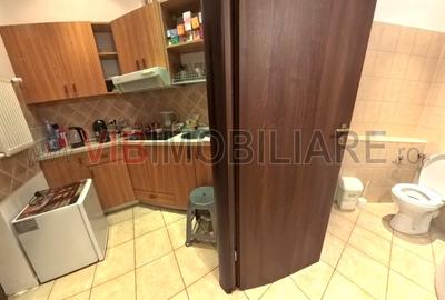Apartament cochet de vanzare 2 camere, Icoanei- Dacia(Ultracentral) - 10