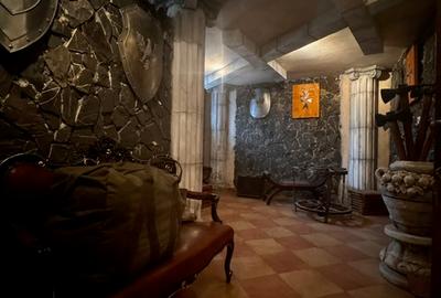 Baneasa, Sisesti, vanzare vila S+P+1E+M, renovata in 2014, 1576 mp teren, - 8