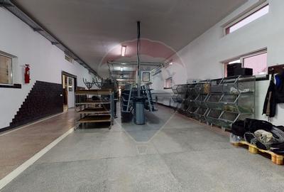 De inchiriat hala productie si birouri ,750 mp - 3