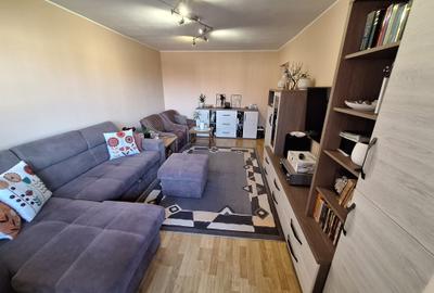 !! 3 Camere model mare.. zona Timocului-A. Saguna vedere spre Bega - 8