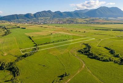 Teren 8,329mp Râșnov / Extravilan / COMISION 0% - 5