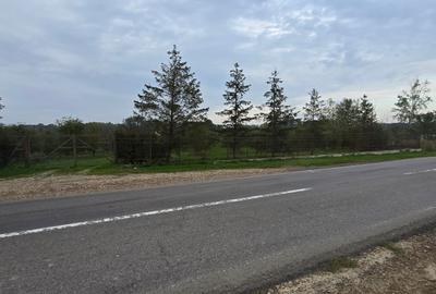 LIVADA  DE VANZARE FOCSANI-DUMBRAVITA  1,8  HA - 27