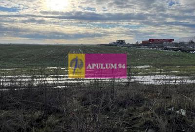 Teren Mihailesti- langa Dovinot. - 1