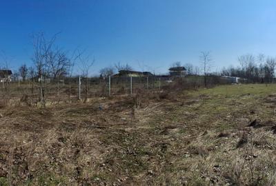 Teren intravilan 1830 mp , D - 31 ml , zona rezidentiala - 2