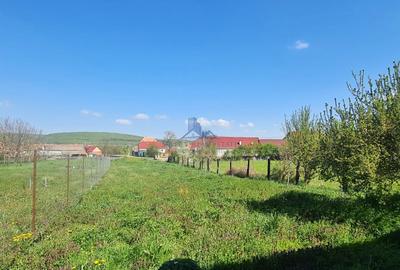 Casa de vanzare \ Hosman - Sibiu - 4