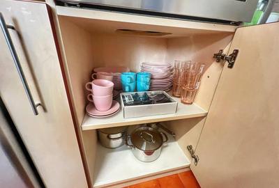 Apartament modern 3 camere balcon curte si parcare Pictor Brana - 16