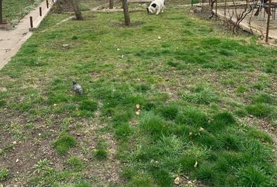 Oportunitate rară! Casă cu teren generos în zona Grand Hotel Italia - 1